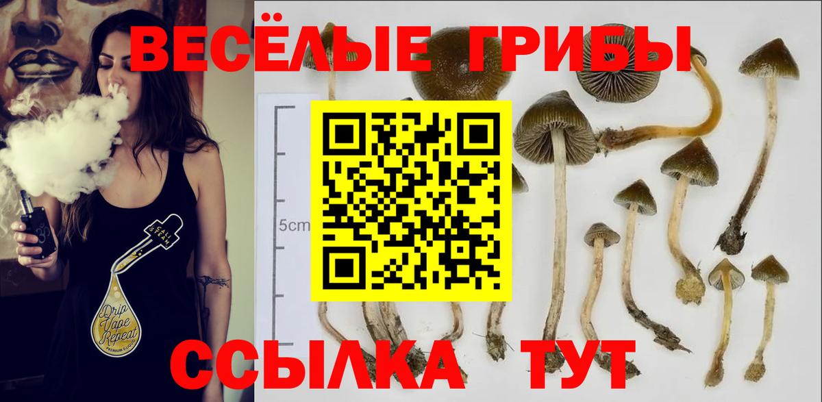Псилоцибиновые грибы MAGIC MUSHROOMS Протвино
