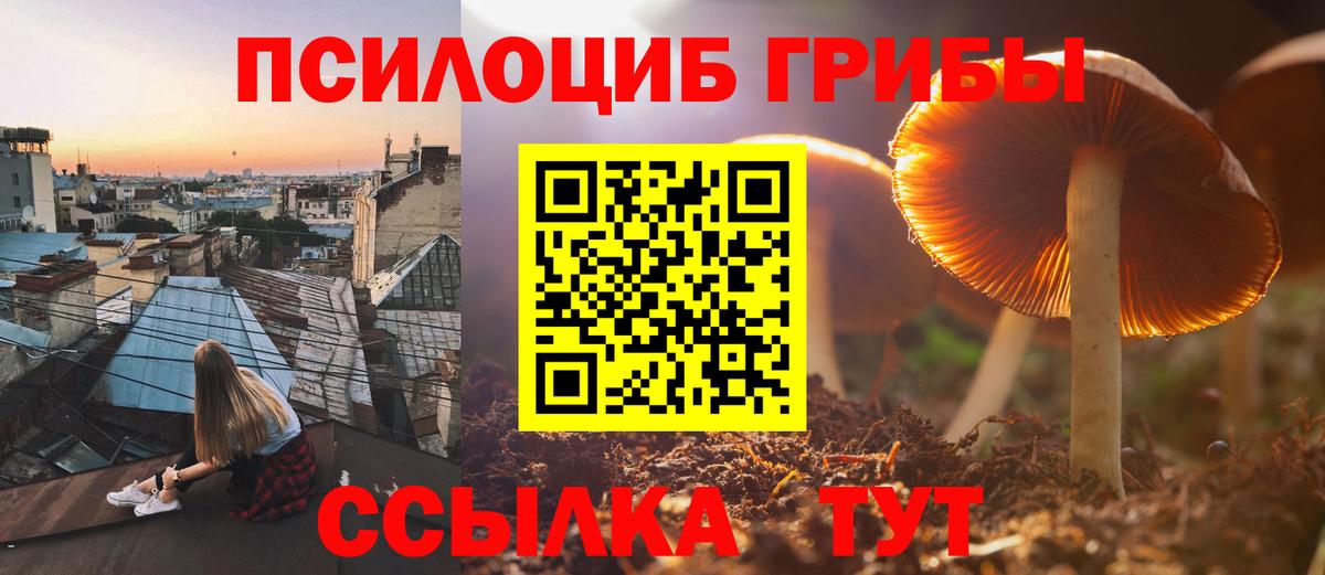 наркотики  Вход с VPN  Протвино  Псилоцибиновые грибы Magic Shrooms  Псилоцибиновые грибы Psilocybe 